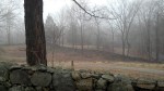 Mist and a stone wall at the Weir Farm