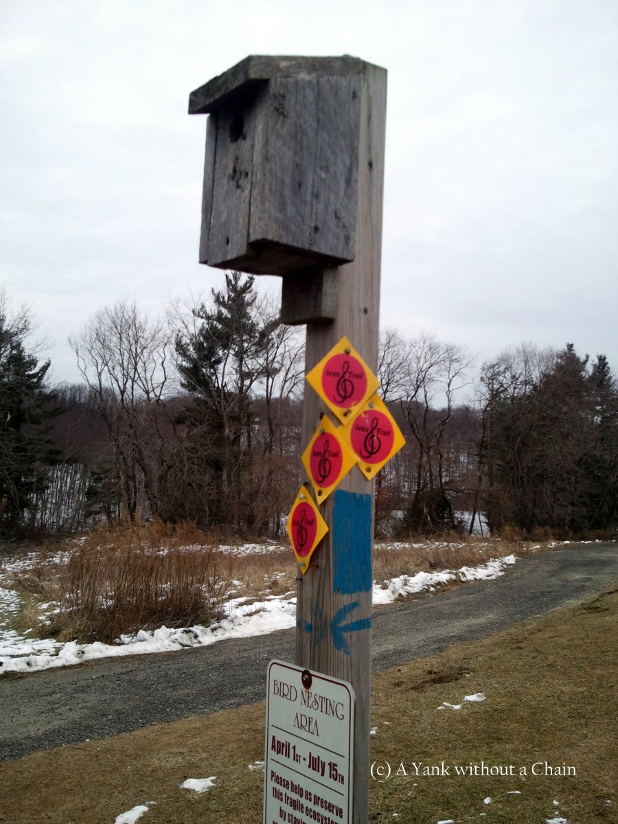A bird feeder near the entrance to Tarrywile Park