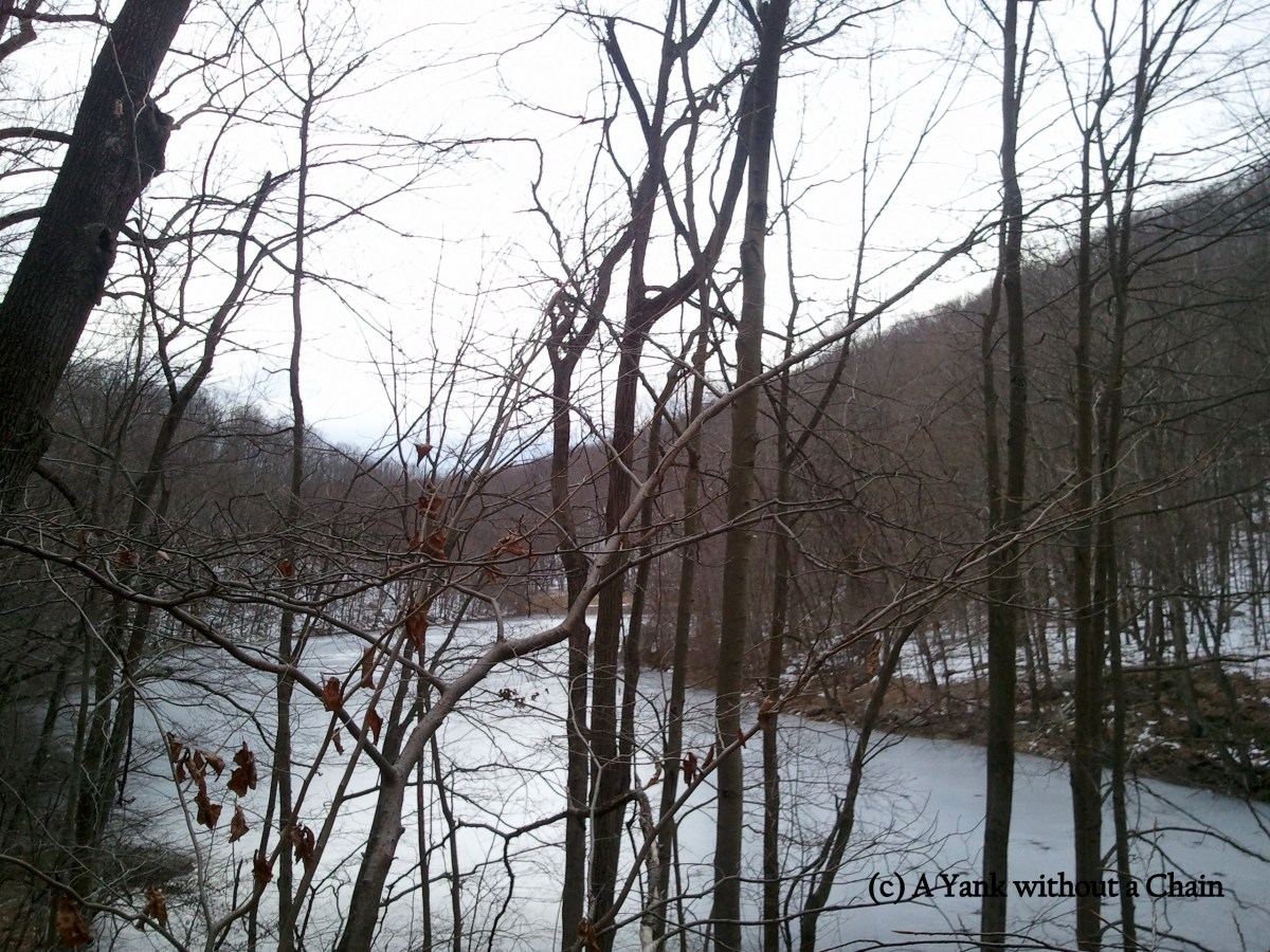 The frozen Back Pond at Tarrywile Park