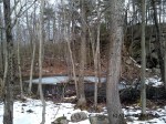 A pond at Ward Pound Ridge