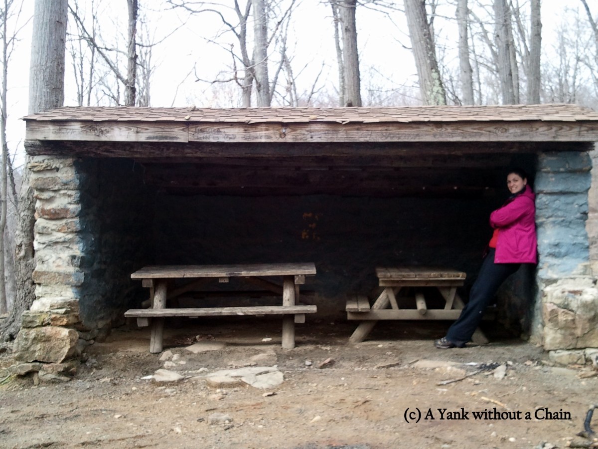 The Yank without a Chain leaning on a lean-to at Ward Pound Ridge