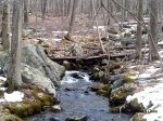 A river running high thanks to melted snow at Ward Pound Ridge