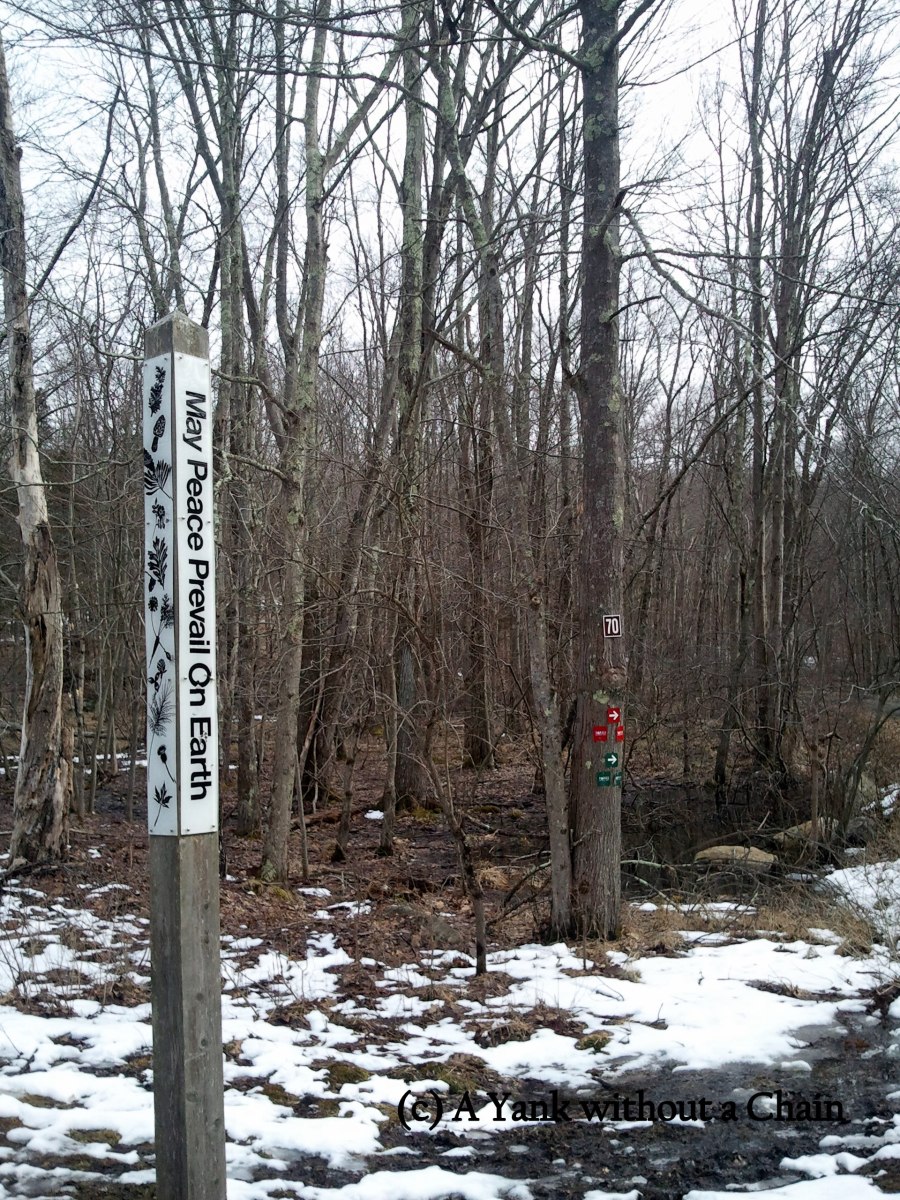 May Peace Prevail on Earth