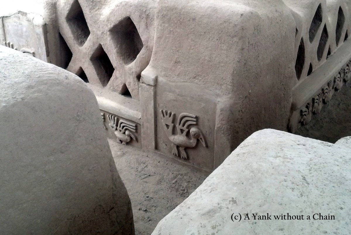 A pelican at Chan Chan