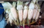 Corn - or choclo - on display at San Camilo
