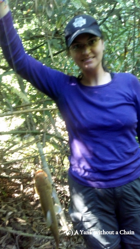 I caught an Amazonian salmon! I set it free.