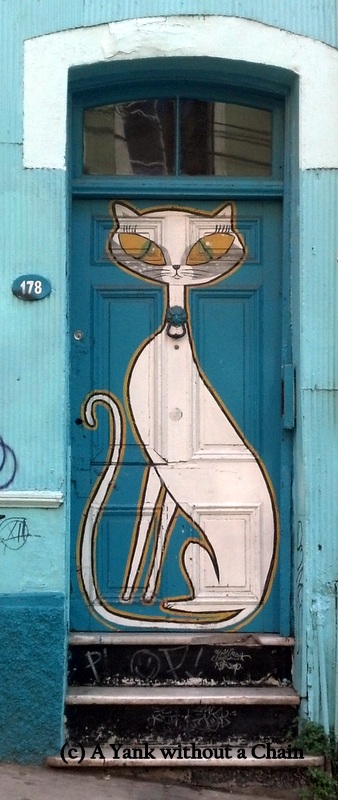 A cat on a door in Valparaiso