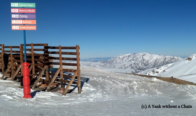 It took me awhile to adjust to not seeing any trees!