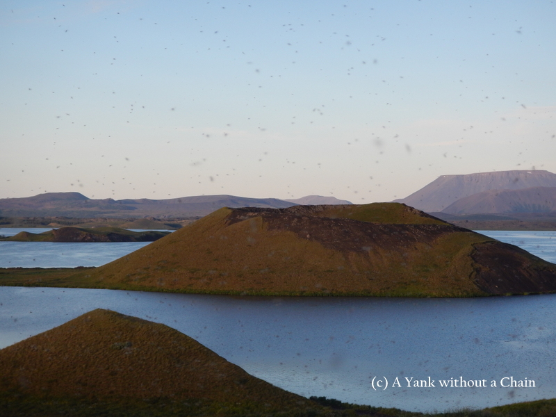 An illustration of why the lake is called "Fly Lake"!
