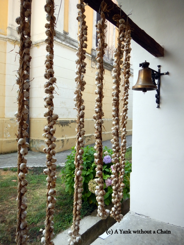 Garlic hung out to dry at Grgeteg