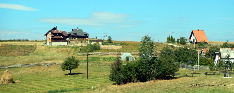 Walking through National Park Tara