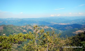 A view of National Park Tara from the Crnjeskovo viewpoint