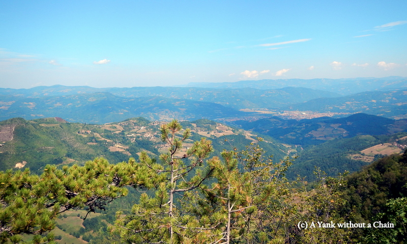 A view of National Park Tara from the Crnjeskovo viewpoint