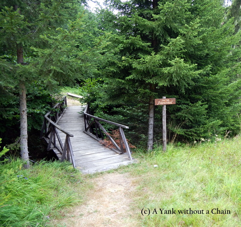 A bridge in National Park Tara