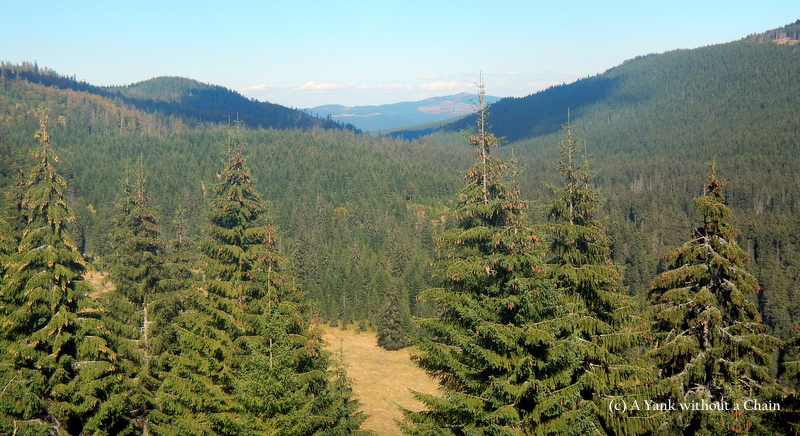 The beautiful, green Apuseni mountains