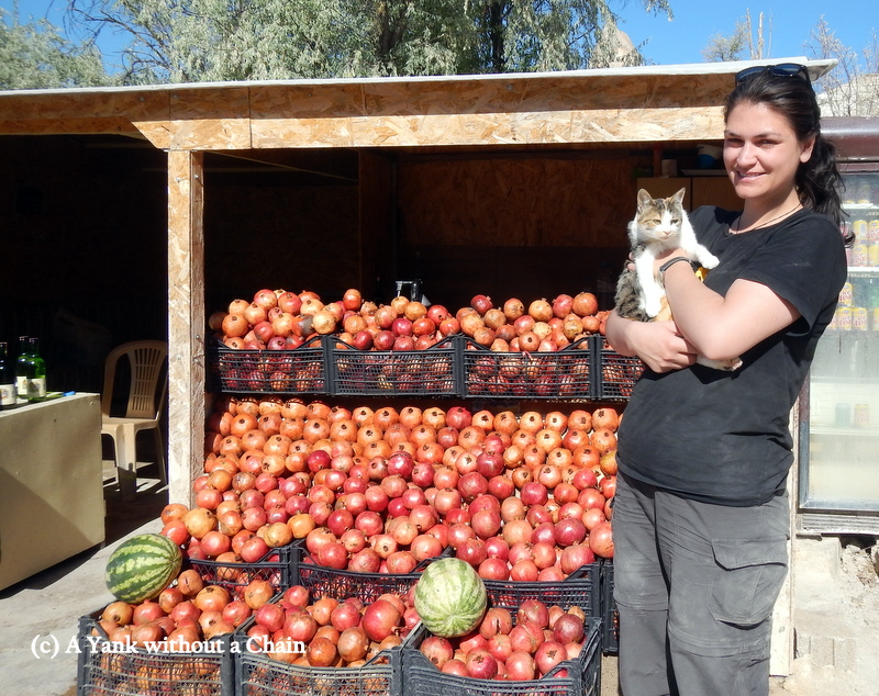 With Faruk's cat, Pammuk (Cotton) and his pomegranates