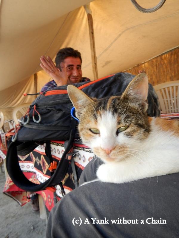 Something tells me Pamukk feels like a hostage, too