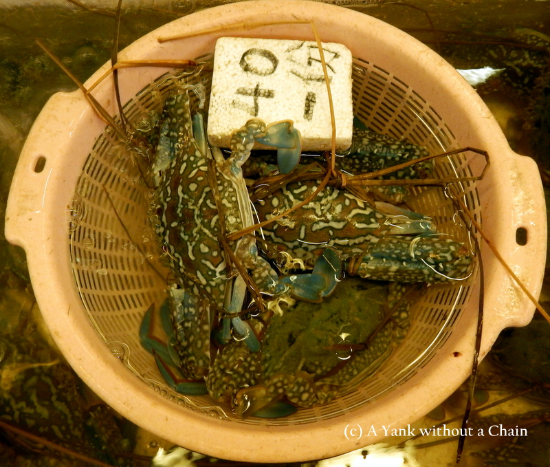 Live crabs at the Mui Wo wet market