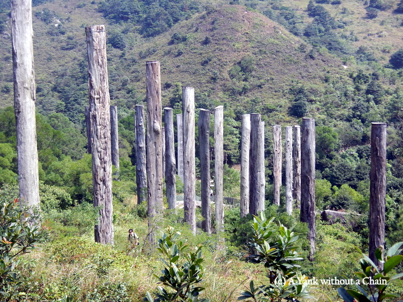 Another view of the Wisdom Path