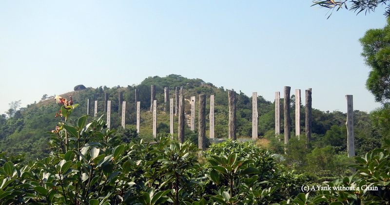 The Wisdom Path seen from the viewing platform