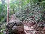 Hiking trail on Cat Ba Island