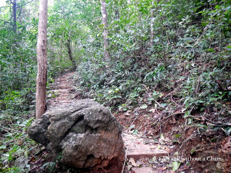 Hiking trail on Cat Ba Island