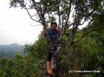 My hiking guide in a tree at Cat Ba National Park