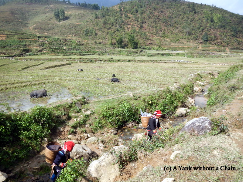 Local women crossing a river