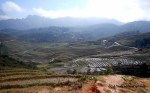 Some of the rice terraces in the Sapa region