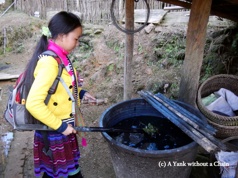 Gom showing us how clothes are dyed with indigo plants