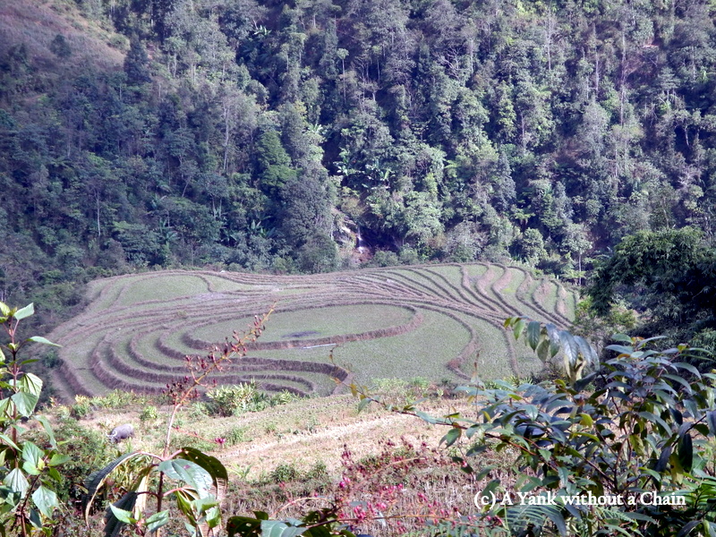 Elaborate rice terraces outside Ta Phin