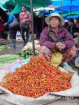 A woman selling chilis at Luang Prabang's market