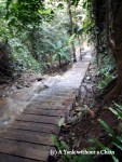 Steps down the Kuang Si falls
