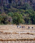 Farmers near the Kong Lor cave