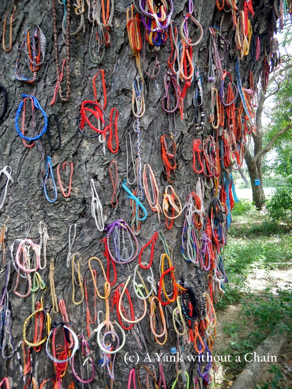 Bracelets adorn the Killing Tree at the Killing Fields near Phnom Penh
