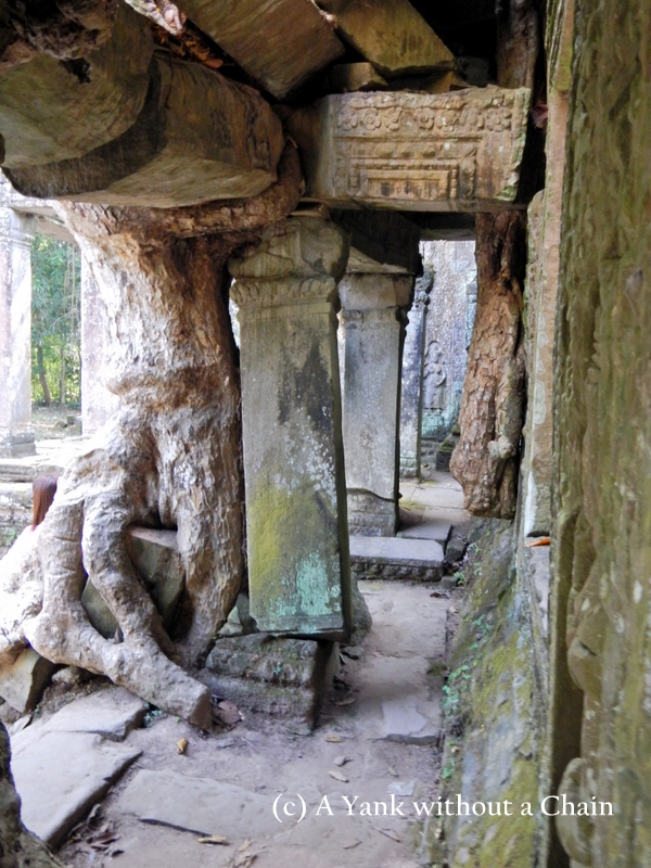 A portion of the ruins of Preah Kahn