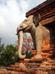 The elephants at Wat Sorasak