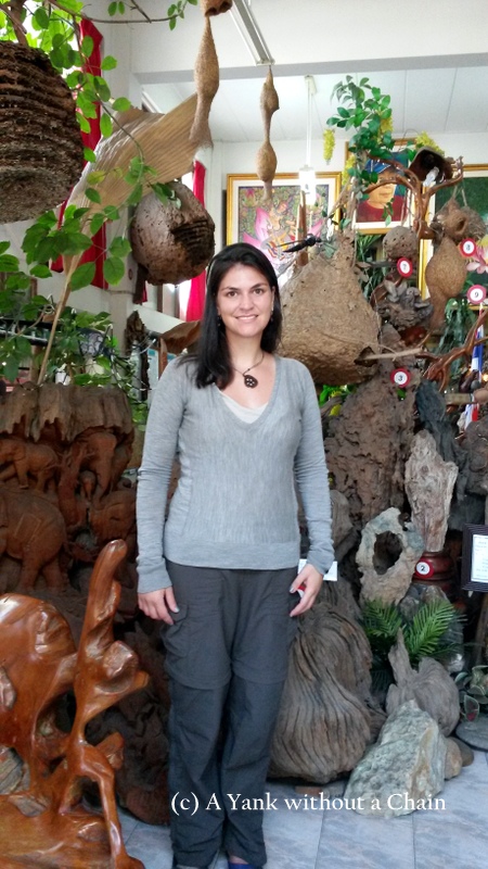 At the Museum of Insects and Natural Wonders in Chiang Mai