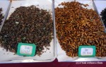 Snack-tastic insects at that Saturday night market in Chiang Mai
