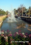 The moat surrounding Chiang Mai's old city