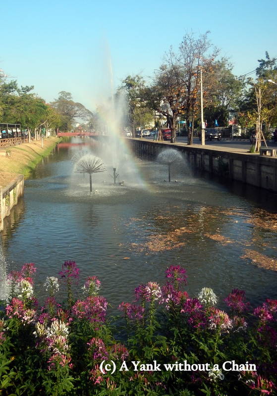 The moat surrounding Chiang Mai's old city