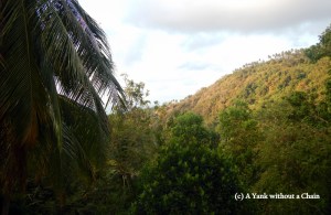 The gorgeous view from Dipabhavan's meditation hall