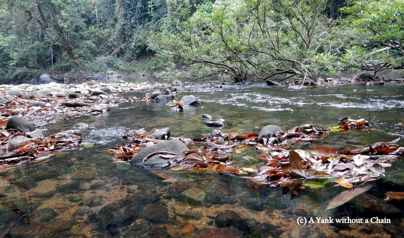 The river running through Khao Sok National Park
