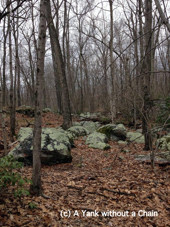 Moss covered rocks at Devil's Den
