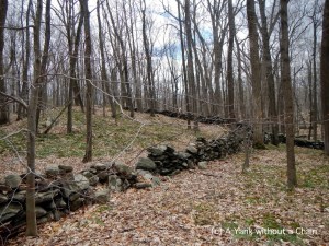 Stone walls at Devil's Den