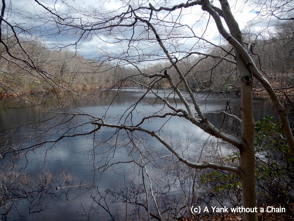 Godfrey Pond, Devil's Den