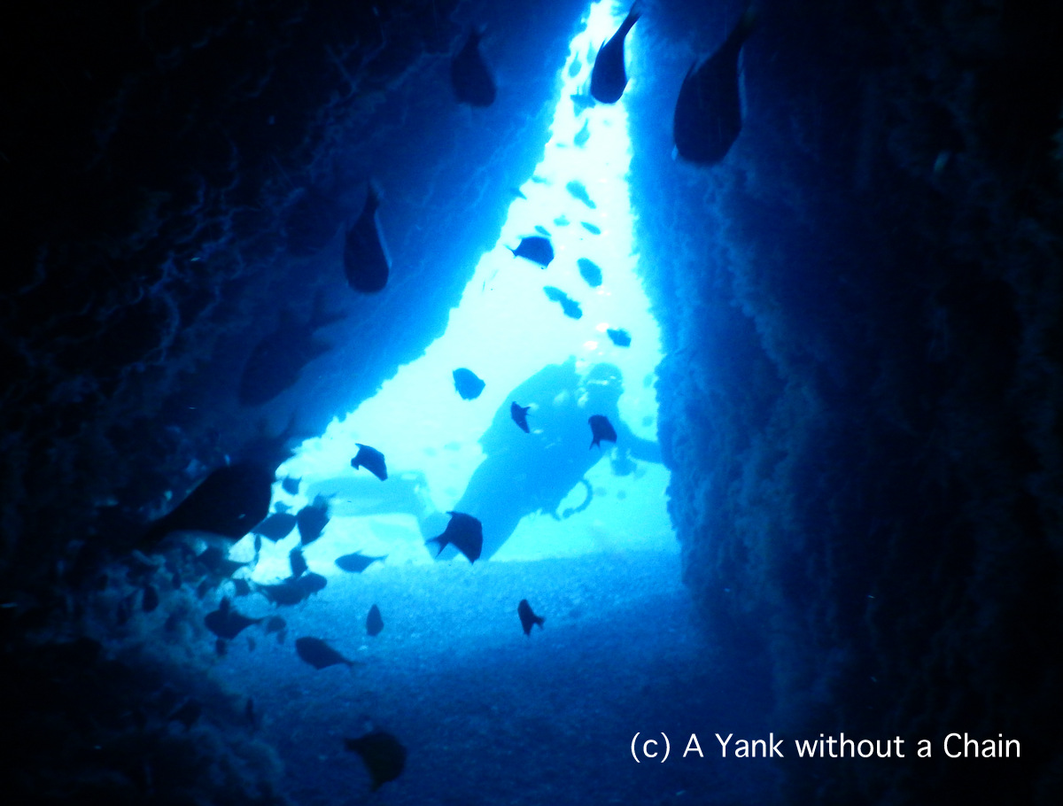 My buddy Gale at the end of a swim through at Shag Rock