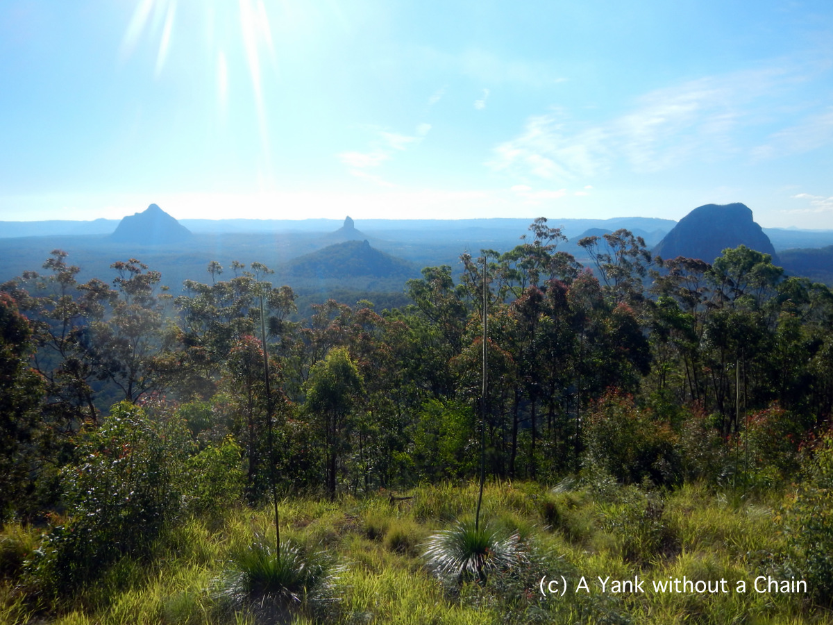 View of the Glass House Mountains from Mount Beerburrum