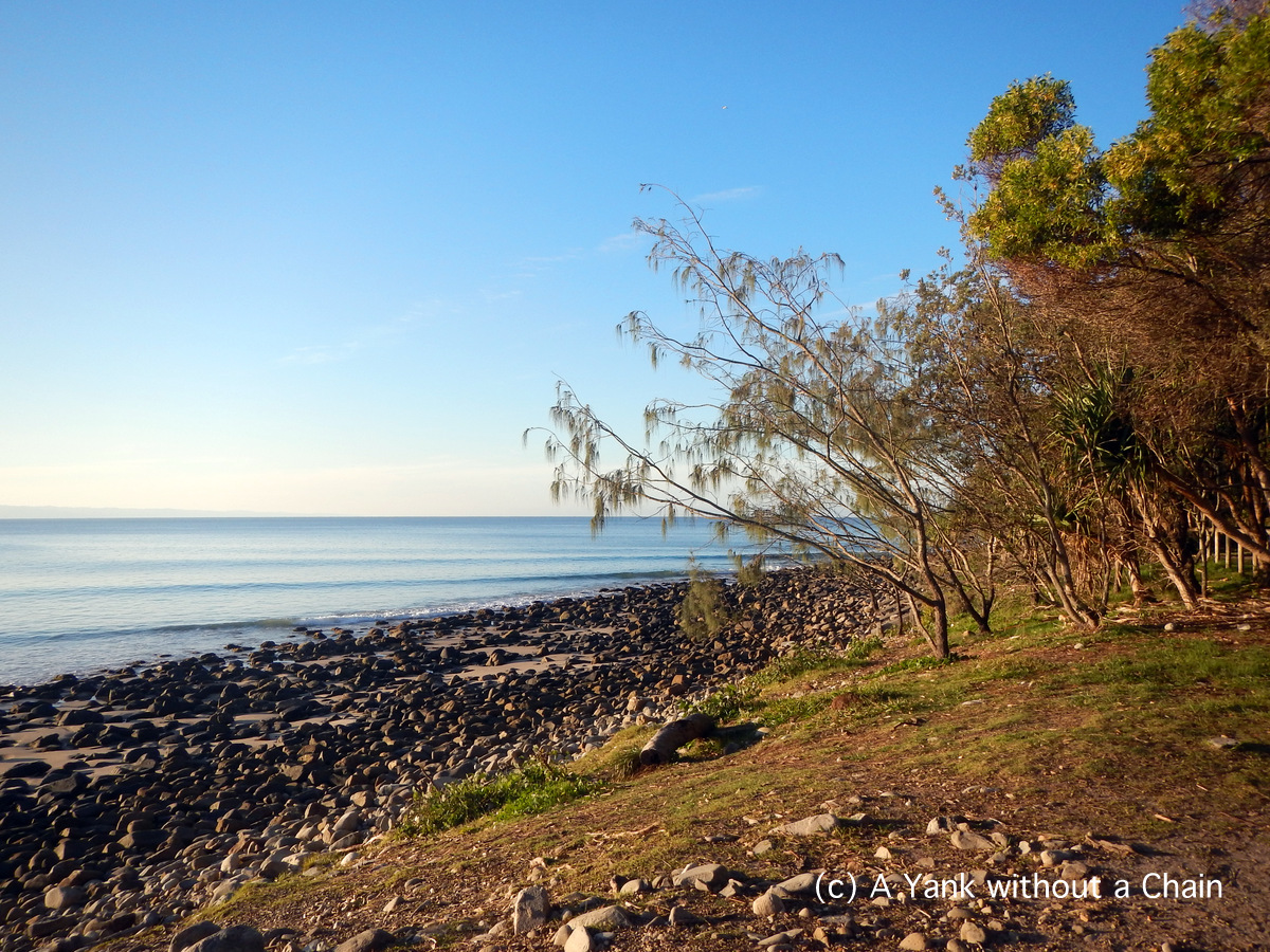 The coast at Noosa National Park
