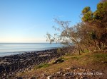 The coast at Noosa National Park